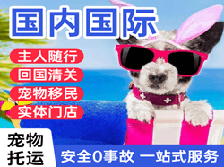 大连周水子空运地址国际宠物托运 【国